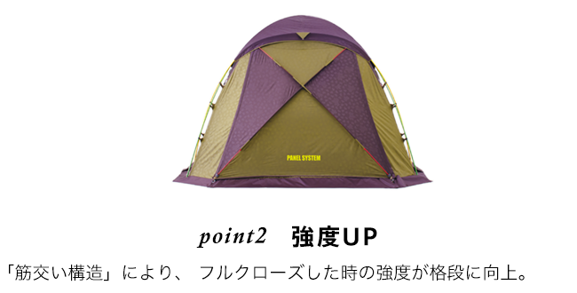 point2 強度UP