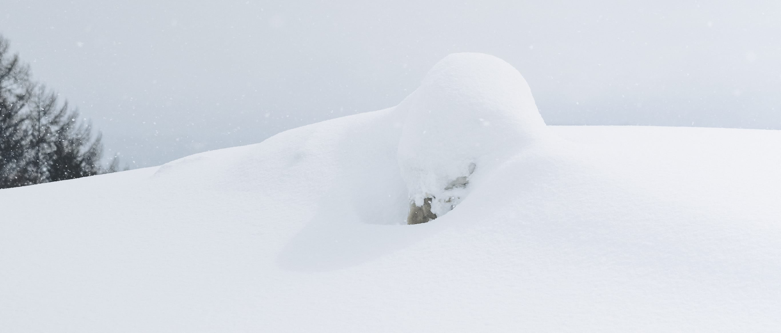 雪原