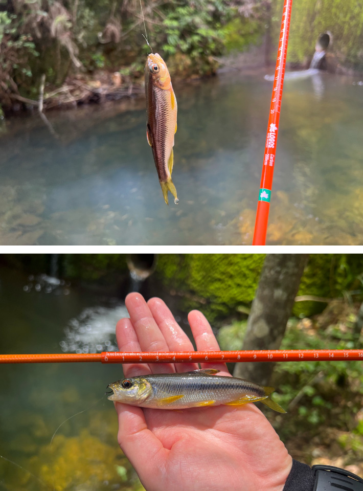 持ち手部分に20cmの目盛り付き。